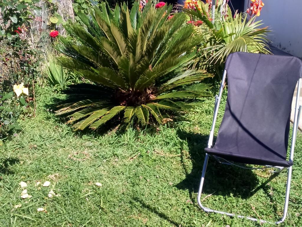 Canto Da Manu Estreito Da Calheta Ngoại thất bức ảnh